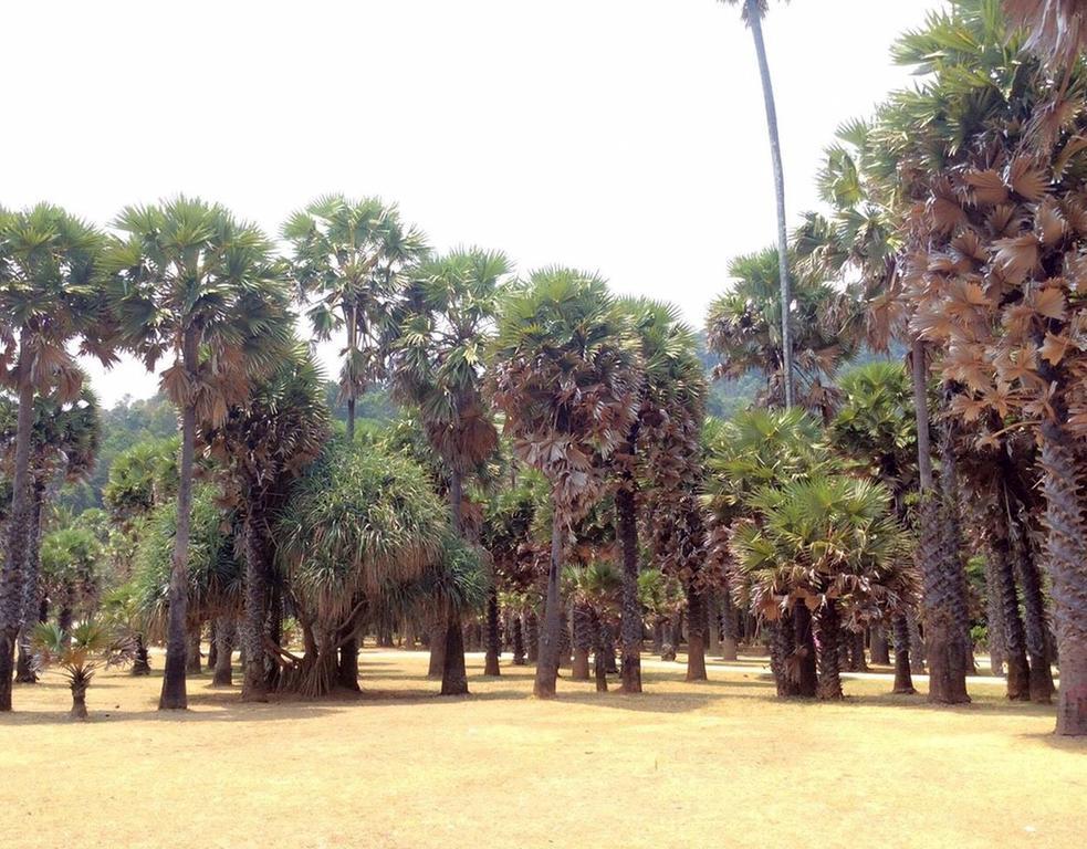 Lanta Wanida Resort Ко-Ланта Екстер'єр фото